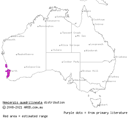 two-toed earless skink (Hemiergis quadrilineata) distribution range map