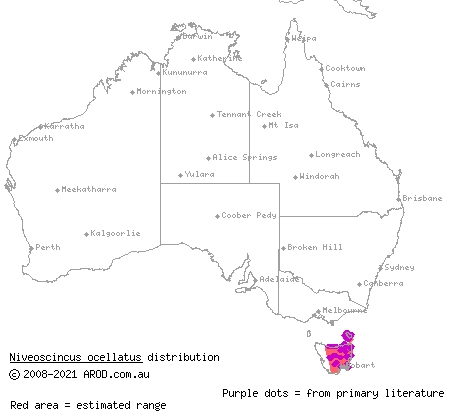 ocellated skink (Niveoscincus ocellatus) distribution range map