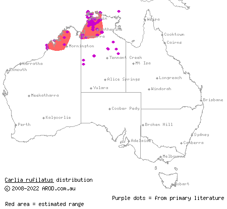 red-sided rainbow-skink (Carlia rufilatus) distribution range map