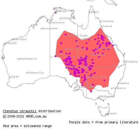 eastern barred wedgesnout ctenotus (Ctenotus strauchii) distribution range map