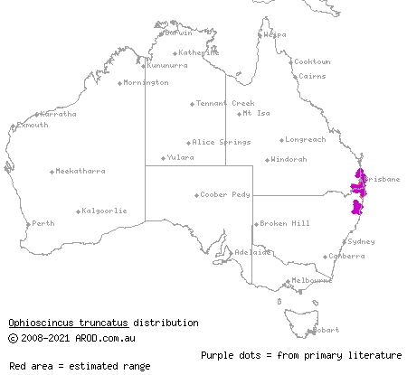 short-limbed snake-skink (Ophioscincus truncatus) distribution range map