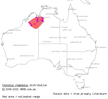 Kimberley lined ctenotus (Ctenotus rhabdotus) distribution range map
