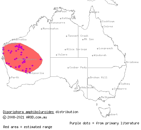 mulga dragon (Caimanops amphiboluroides) distribution range map