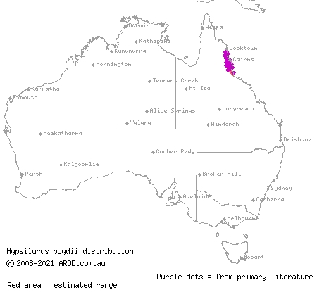 Boyd's forest dragon (Hypsilurus boydii) distribution range map