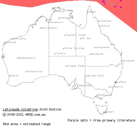 wide-faced sea krait (Laticauda colubrina) distribution range map
