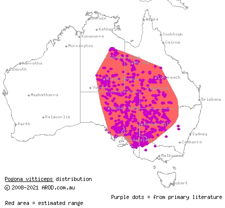 inland bearded dragon (Pogona vitticeps) distribution range map