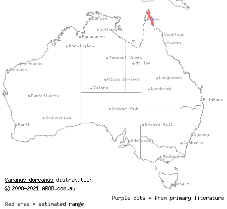 blue-tailed goanna (Varanus doreanus) distribution range map