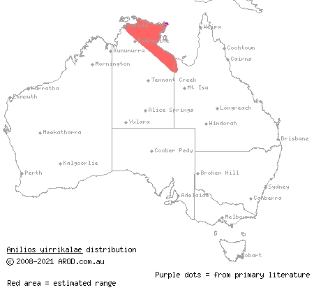 Yirrkala blind snake (Anilios yirrikalae) distribution range map