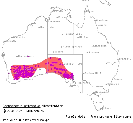 crested dragon (Ctenophorus cristatus) distribution range map
