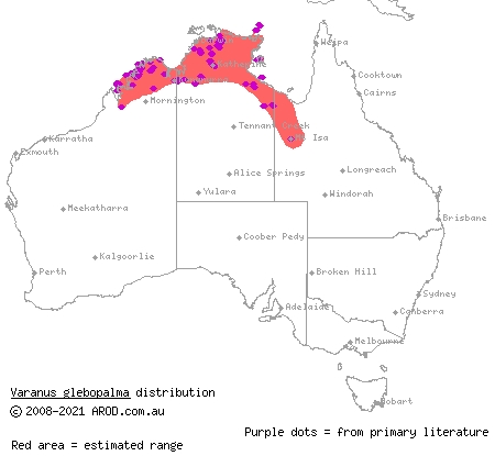 black-palmed monitor (Varanus glebopalma) distribution range map
