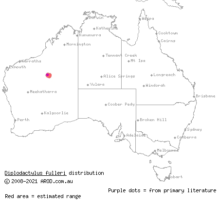 Lake Disappointment ground gecko (Diplodactylus fulleri) distribution range map