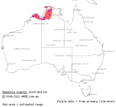 grey whipsnake (Demansia simplex) distribution range map