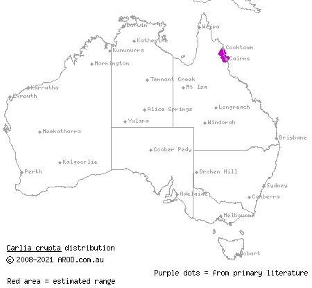 northern red-throated rainbow-skink (Carlia crypta) distribution range map