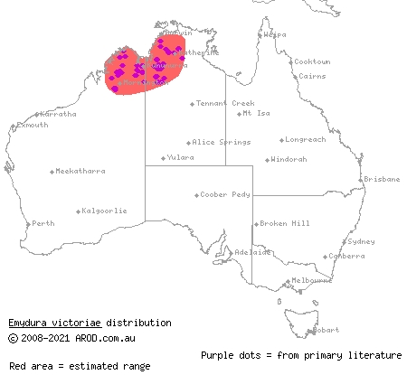 northern red-faced turtle (Emydura victoriae) distribution range map