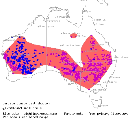 timid slider (Lerista timida) distribution range map