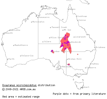 inland taipan (Oxyuranus microlepidotus) distribution range map
