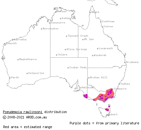 glossy grass skink (Pseudemoia rawlinsoni) distribution range map