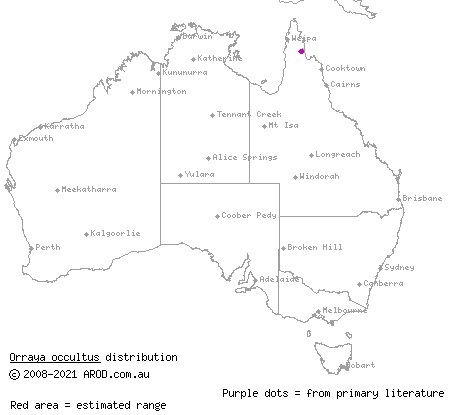 McIlwraith leaf-tailed gecko (Orraya occultus) distribution range map