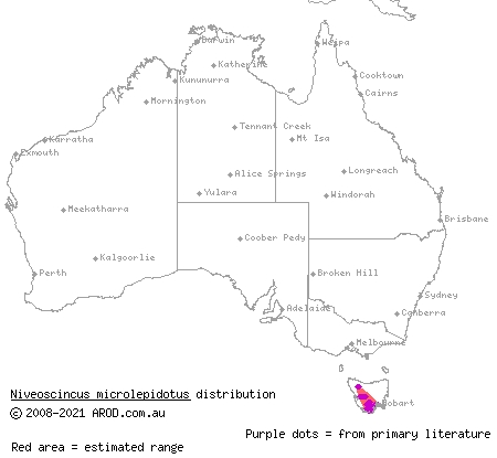 southern snow skink (Niveoscincus microlepidotus) distribution range map
