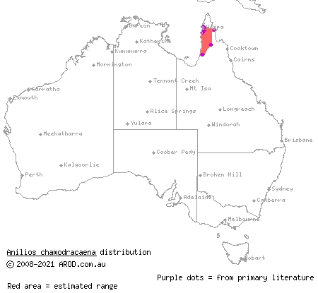 Cape York striped blind snake (Ramphotyphlops chamodracaena) distribution range map