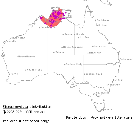 northern snapping turtle (Elseya dentata) distribution range map