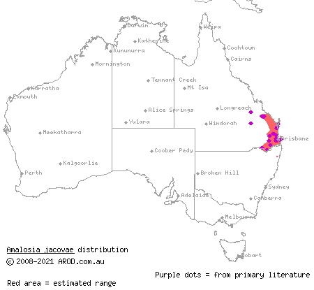 clouded gecko (Amalosia jacovae) distribution range map