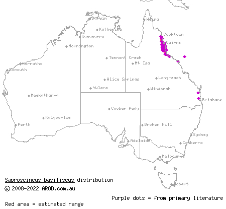 pale-lipped shadeskink (Saproscincus basiliscus) distribution range map