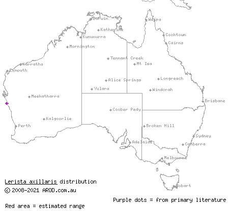 stripe-sided robust slider (Lerista axillaris) distribution range map