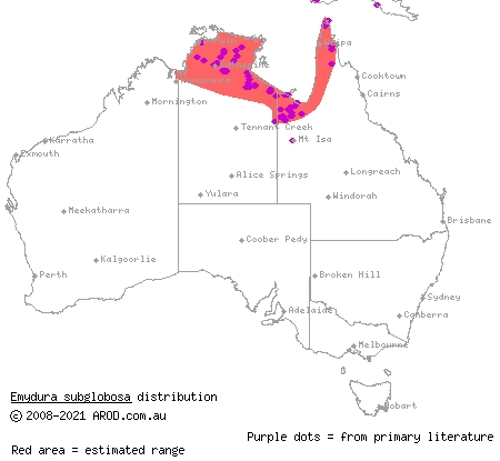painted turtle (Emydura subglobosa) distribution range map