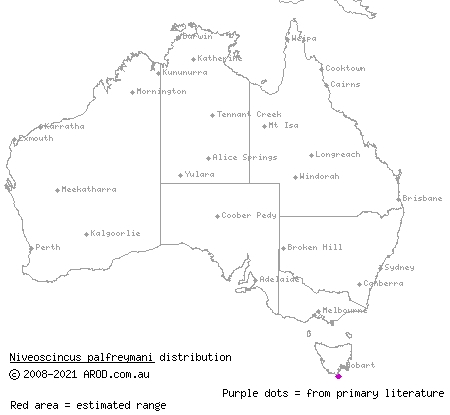 Pedra Branca cool-skink (Niveoscincus palfreymani) distribution range map