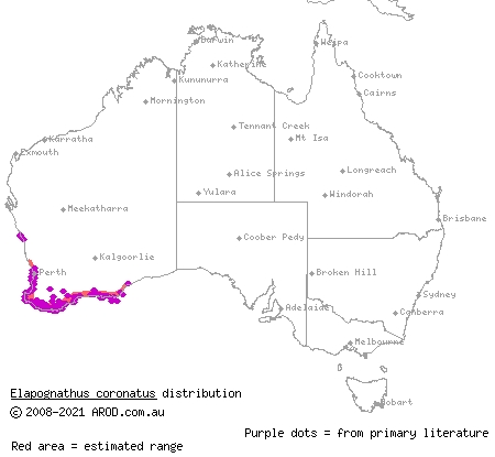 western crowned snake (Elapognathus coronatus) distribution range map
