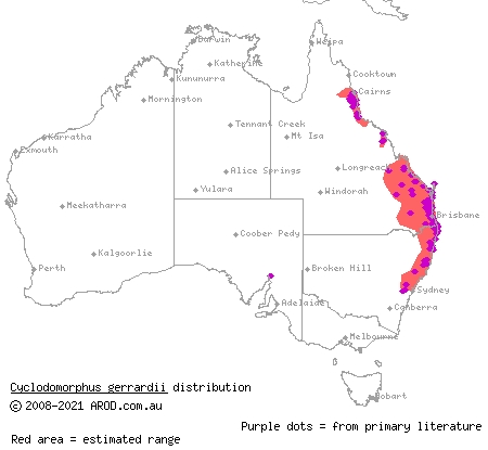 pink-tongued skink (Cyclodomorphus gerrardii) distribution range map