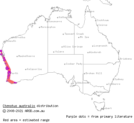 western limestone ctenotus (Ctenotus australis) distribution range map