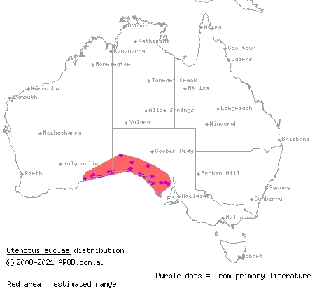 Eucla ctenotus (Ctenotus euclae) distribution range map