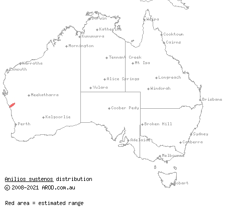 sharp-snouted blindsnake (Anilios systenos) distribution range map