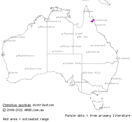 Quinkan ctenotus (Ctenotus quinkan) distribution range map