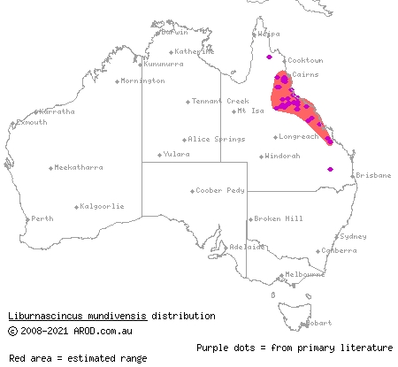 outcrop rock-skink (Liburnascincus mundivensis) distribution range map