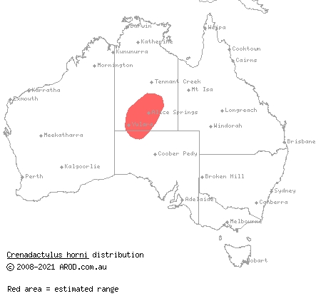 Central Uplands clawless gecko (Crenadactylus horni) distribution range map