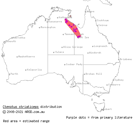 stripe-headed finesnout ctenotus (Ctenotus striaticeps) distribution range map