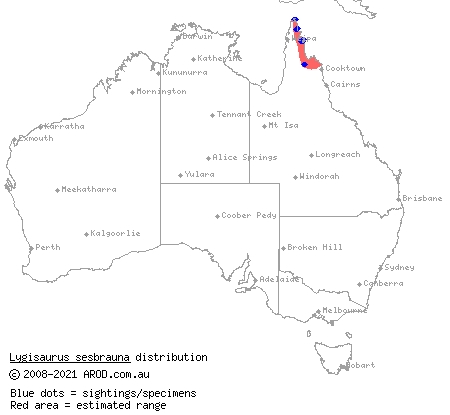 Eastern Cape litter-skink (Lygisaurus sesbrauna) distribution range map