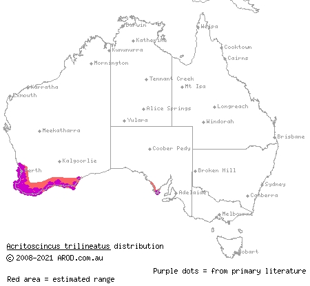 western three-lined skink (Acritoscincus trilineatus) distribution range map