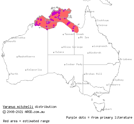 Mitchell's water monitor (Varanus mitchelli) distribution range map