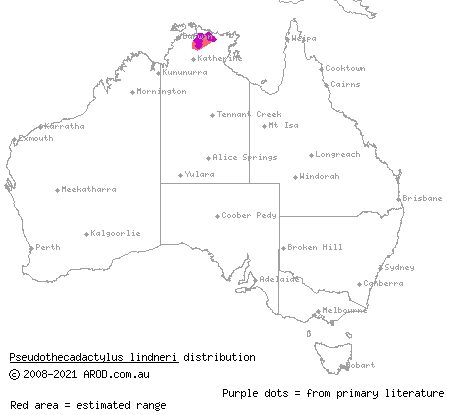 northern giant cave gecko (Pseudothecadactylus lindneri) distribution range map