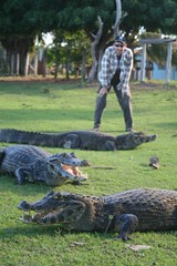 So many caiman