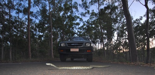 carpetOnRoad